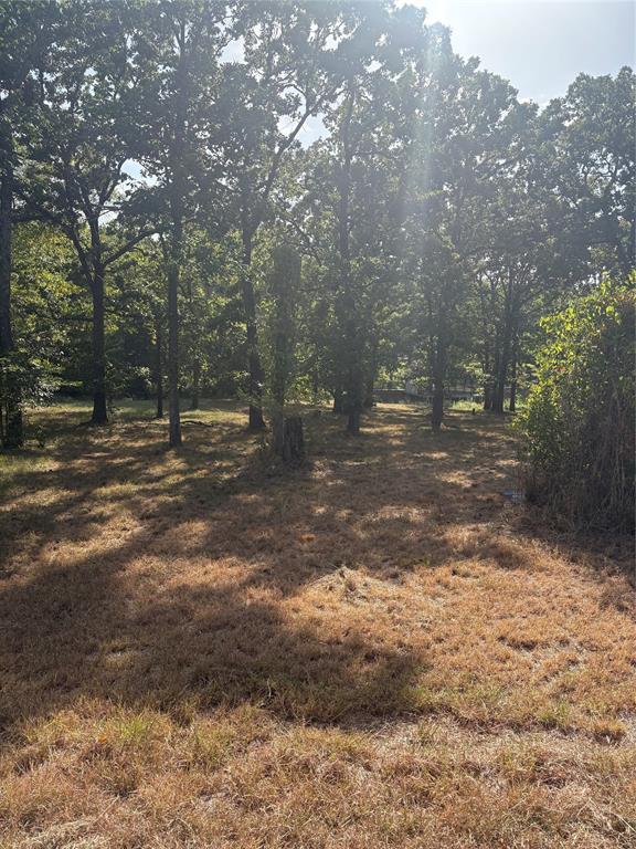 124 Point La Vista Road Malakoff, TX 75148 - Photo 2 of 5 Gallery Image 2