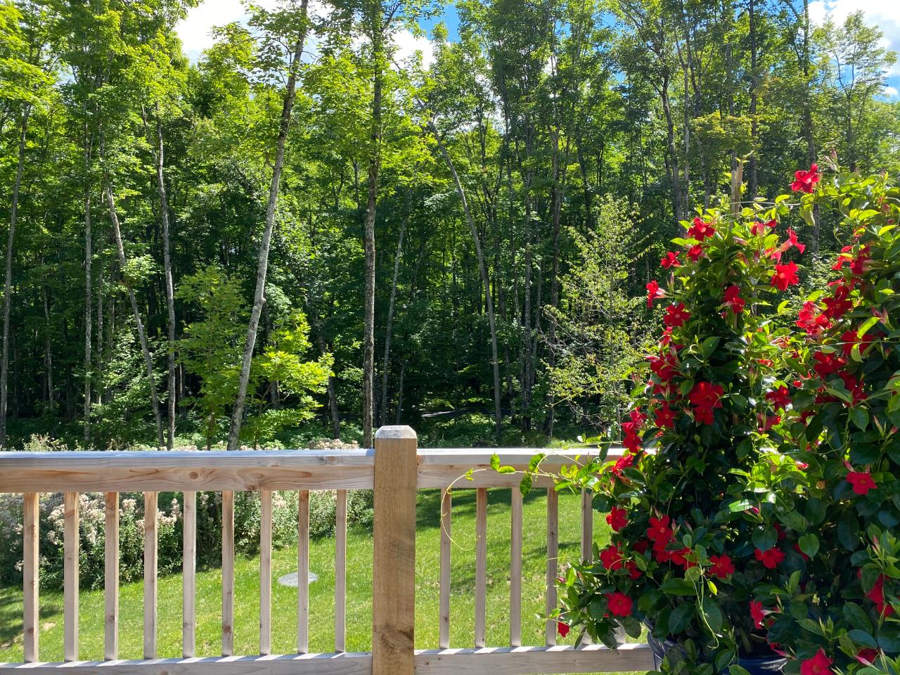 2298 East Anvil Lake Road Eagle River, WI 54521 - Photo 10 of 21 Gallery Image 10