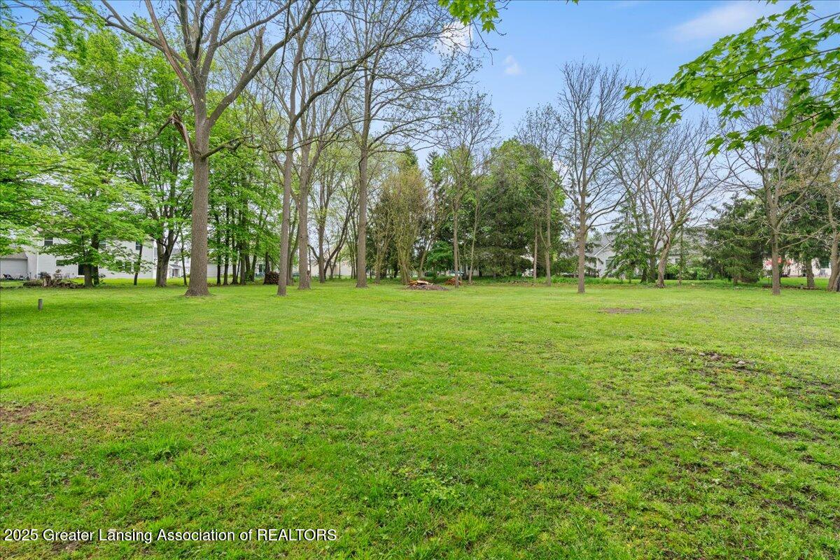 1614 Gunn Road Holt, MI 48842 - Photo 31 of 34 MASSIVE YARD