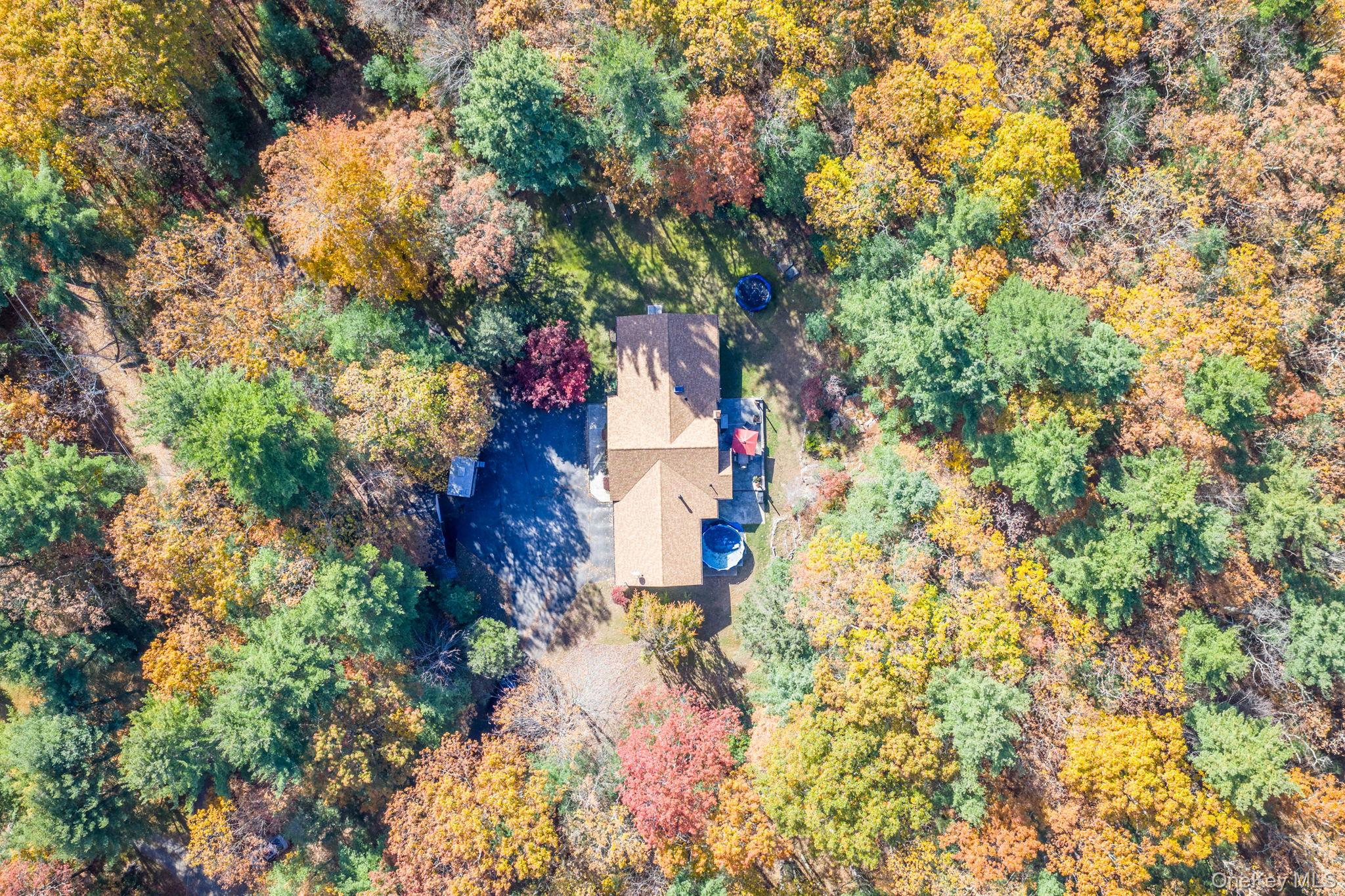 44 Florio Earl Road Wurtsboro, NY 12790 - Photo 32 of 42 a picture of trees