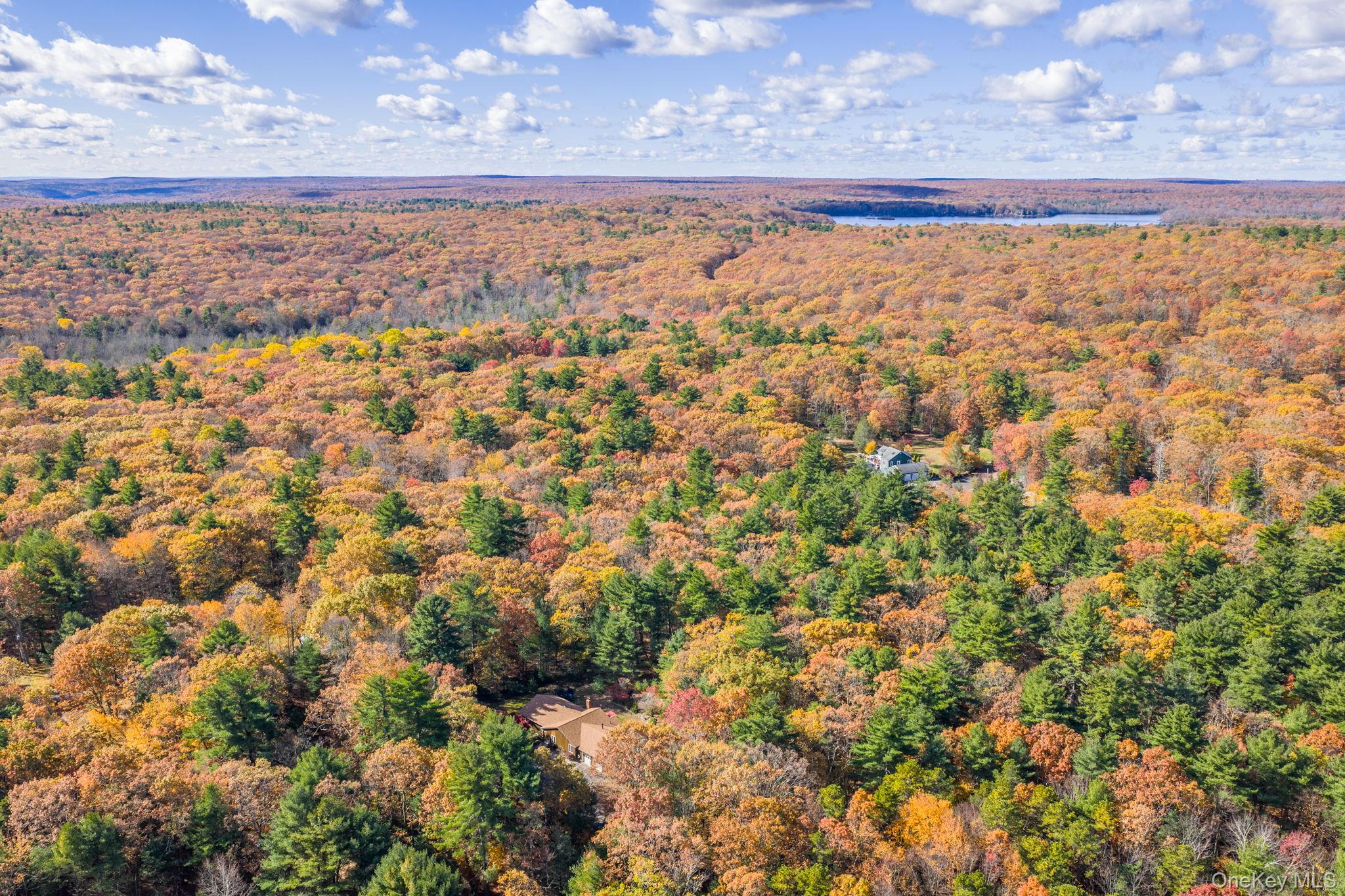 44 Florio Earl Road Wurtsboro, NY 12790 - Photo 34 of 42 a view of an ocean view