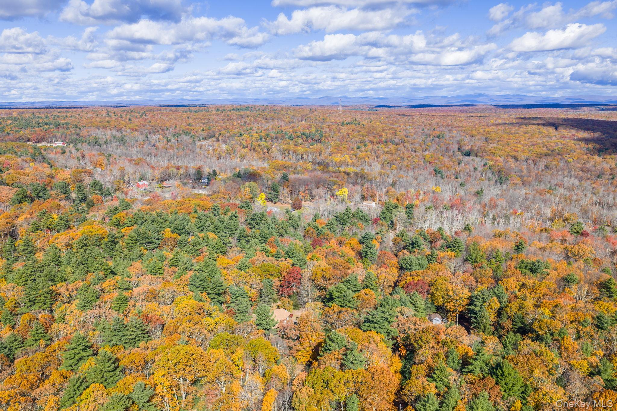 44 Florio Earl Road Wurtsboro, NY 12790 - Photo 36 of 42 a view of city and mountain