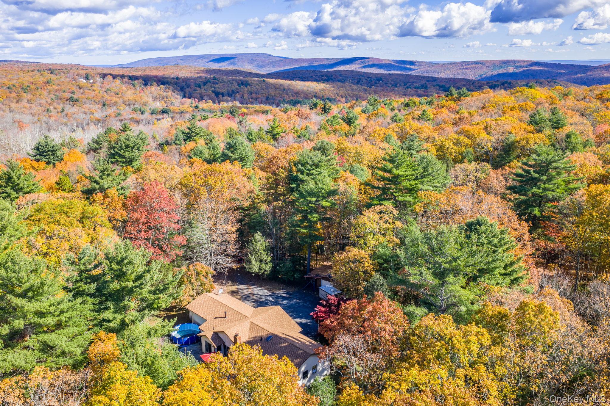 44 Florio Earl Road Wurtsboro, NY 12790 - Photo 41 of 42 a view of a city