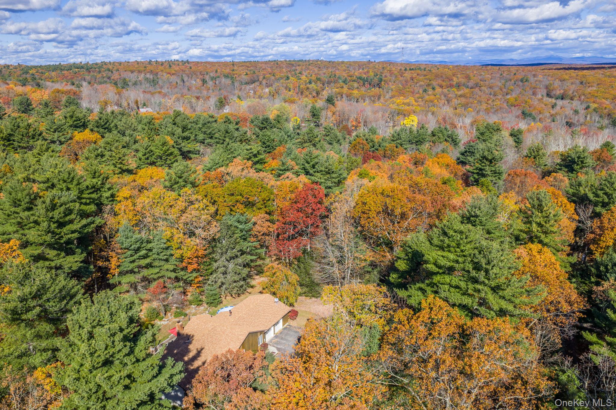 44 Florio Earl Road Wurtsboro, NY 12790 - Photo 42 of 42 a view of lake and mountain