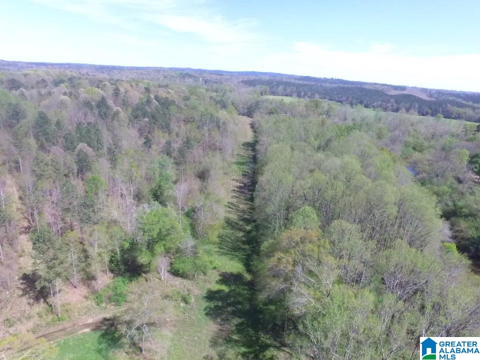 0 County Road 60, Unit 1 Heflin, AL 36264 - Photo 12 of 14