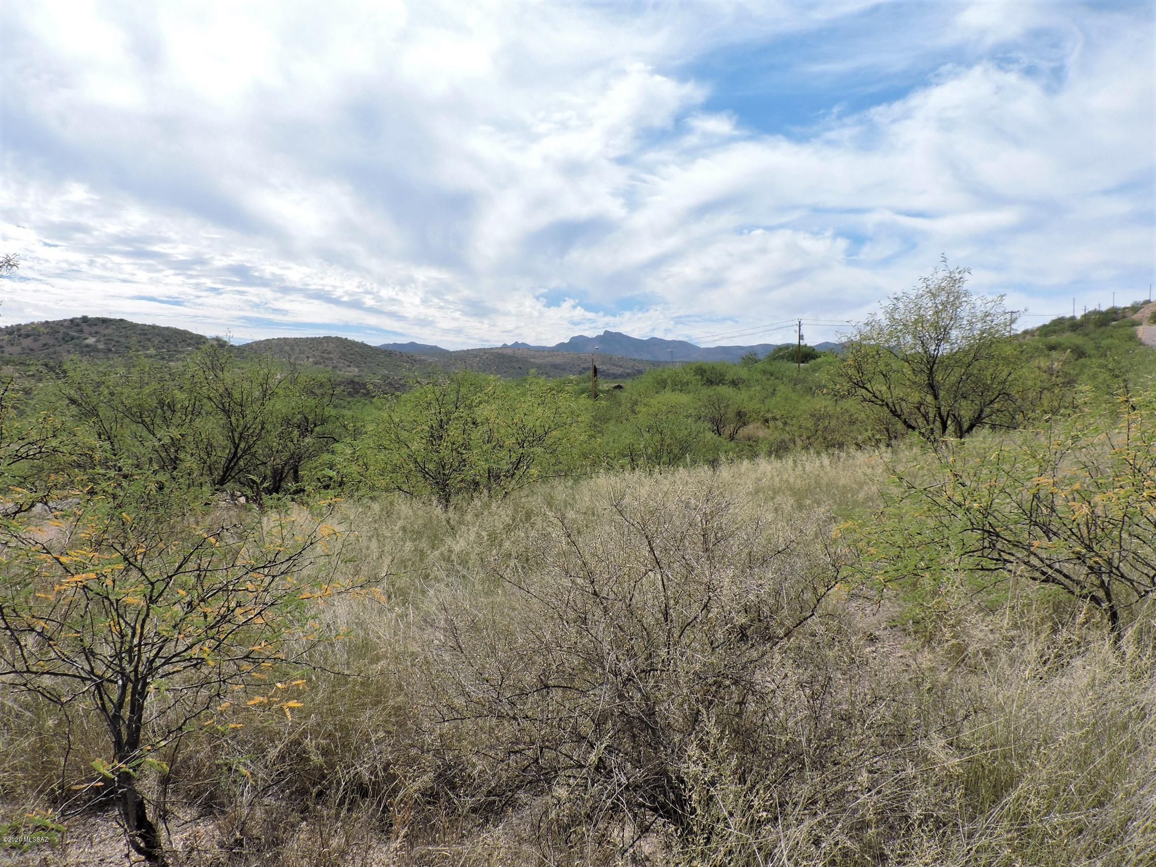 722 Luna Court, Unit 194 Rio Rico, AZ 85648 - Photo 7 of 9