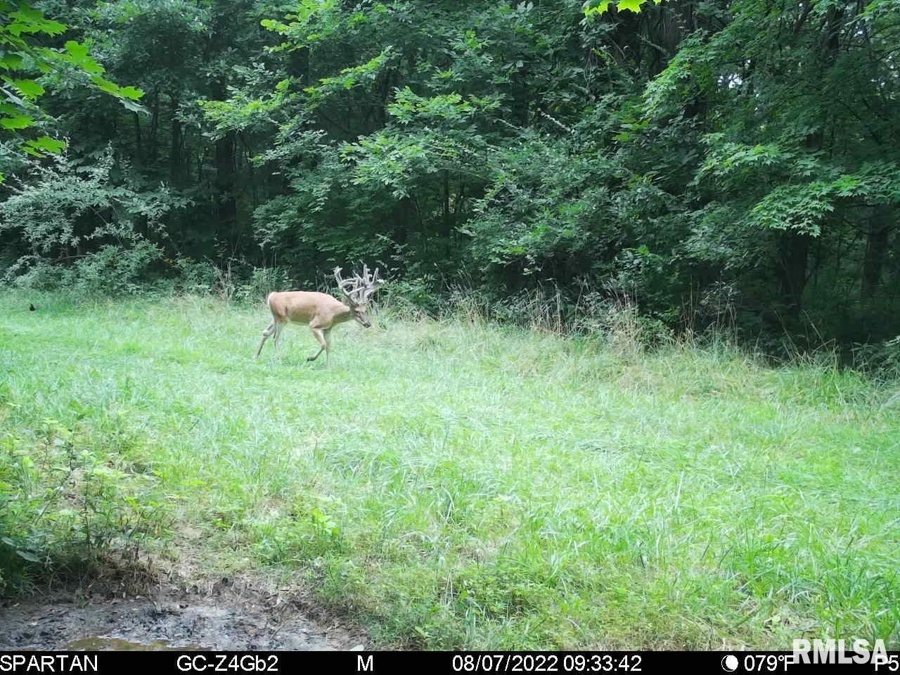 21994 East Sand Road Lewistown, IL 61542 - Photo 40 of 50