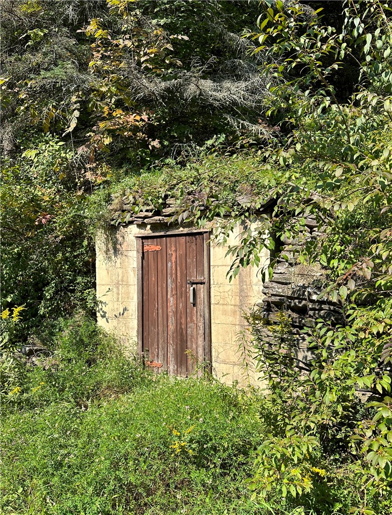 2165 Red Kill Road Fleischmanns, NY 12430 - Photo 5 of 48 root cellar