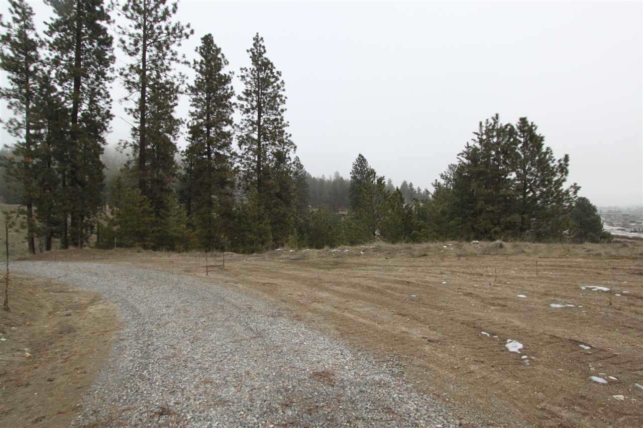 5324 North Argonne Road Spokane, WA 99217 - Photo 8 of 11