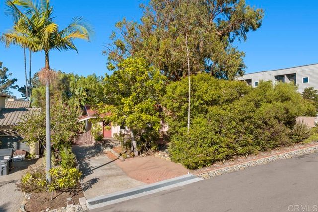 a couple of potted plants sitting in front of a building