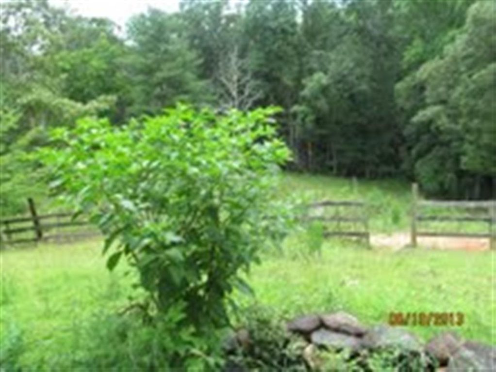 175 Martha Lane Sunset, SC 29685 - Photo 5 of 8