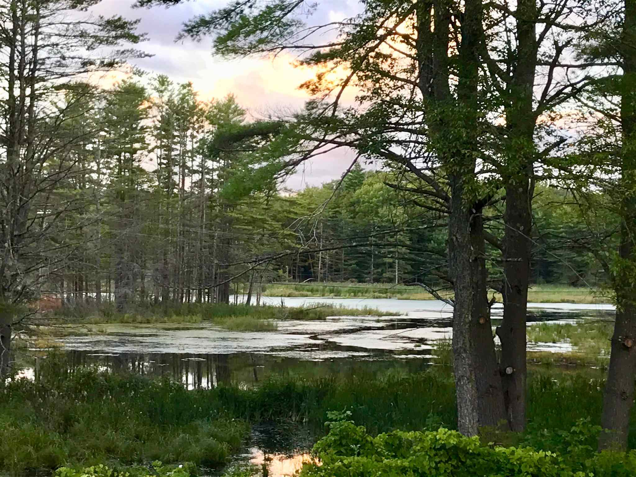 35 Stevens Road Cavendish, VT 05142 - Photo 16 of 24
