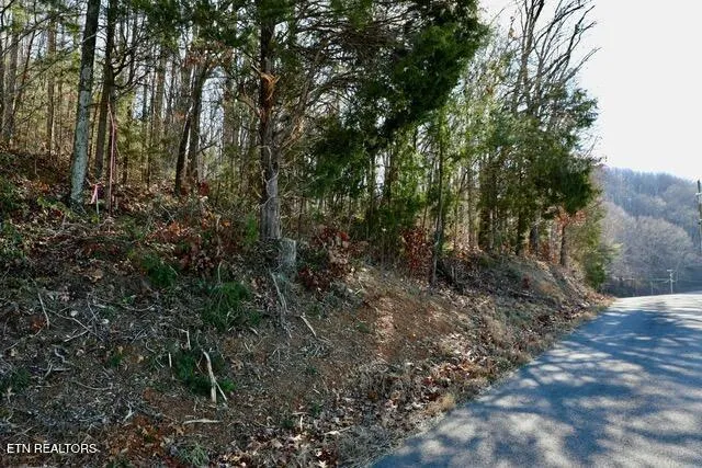 $174,900 | 782 County Road 279, Niota, TN 37826