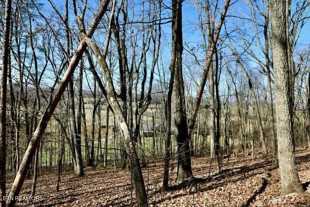 $174,900 | 782 County Road 279, Niota, TN 37826