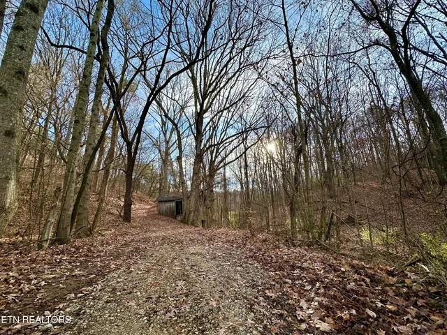 $174,900 | 782 County Road 279, Niota, TN 37826