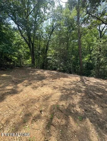 $174,900 | 782 County Road 279, Niota, TN 37826