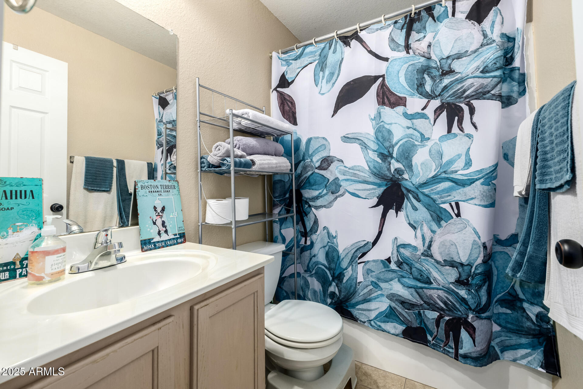 1675 East Robin Lane Gilbert, AZ 85296 - Photo 22 of 29 a bathroom with a sink a mirror and a toilet