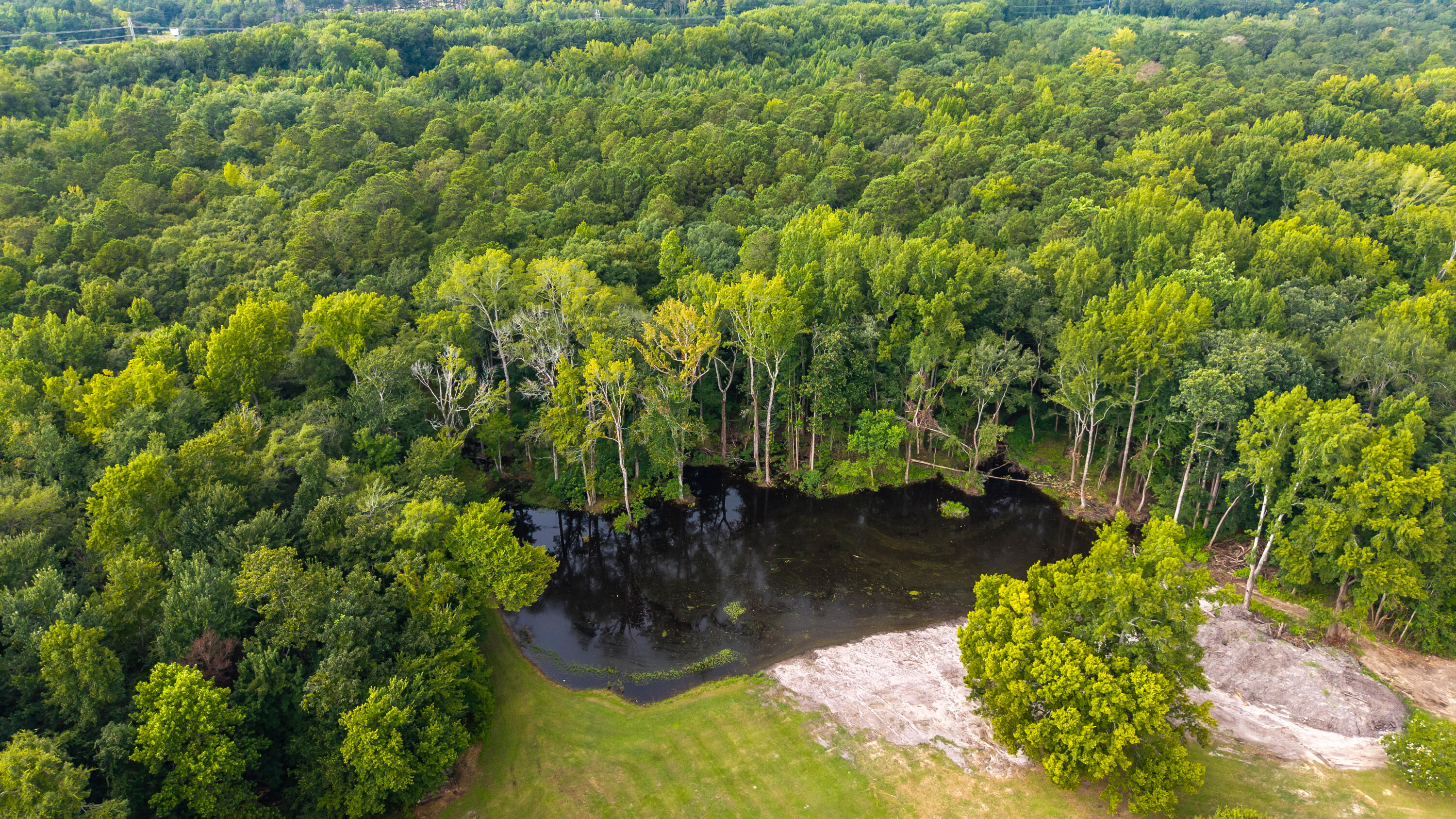 2985 Thadsfarm Road Sumter, SC 29153 - Photo 46 of 83 42