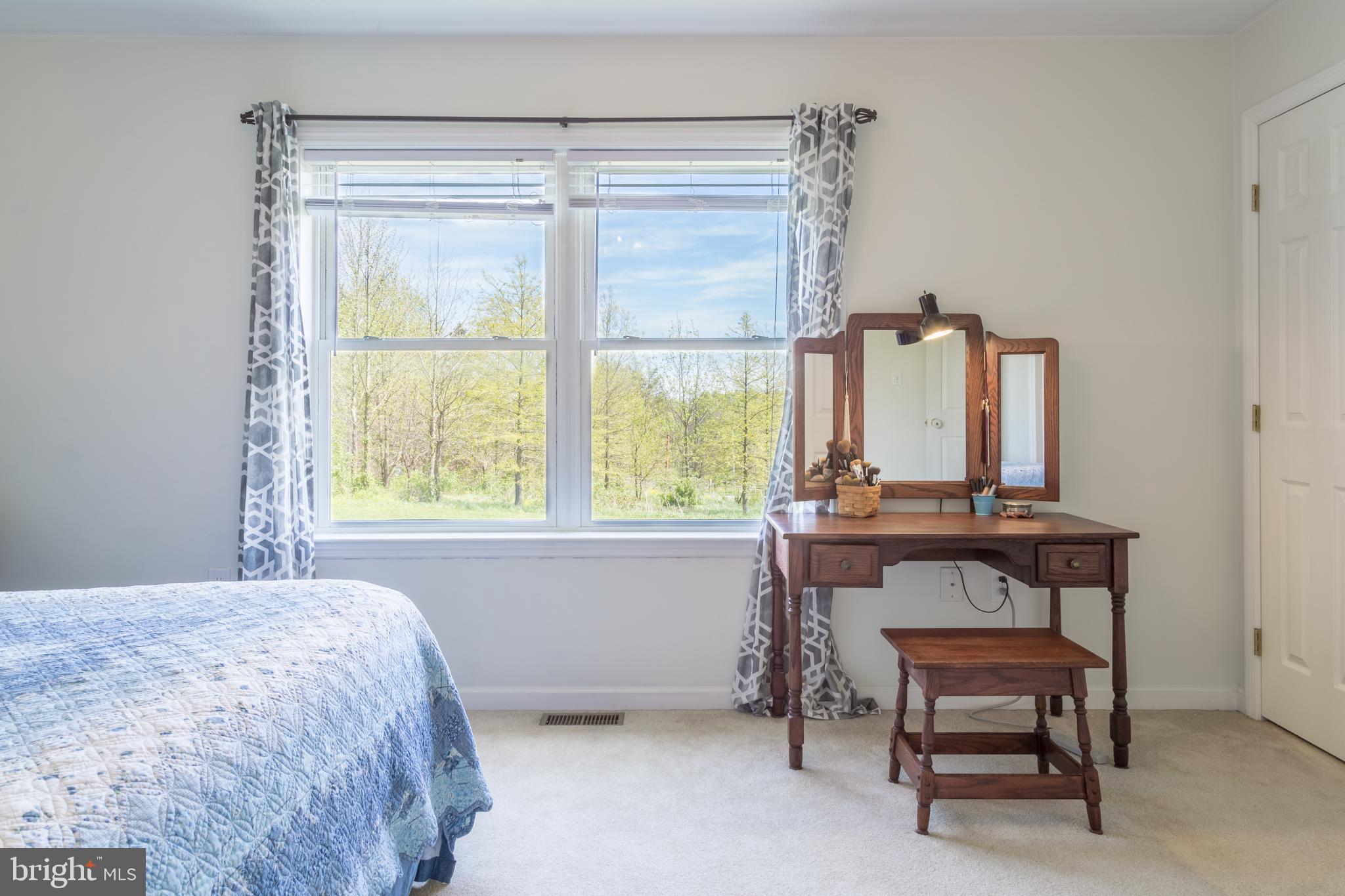 2272 Old Washington Road Westminster, MD 21157 - Photo 20 of 48 Master Bedroom w/ lots of Natural Life