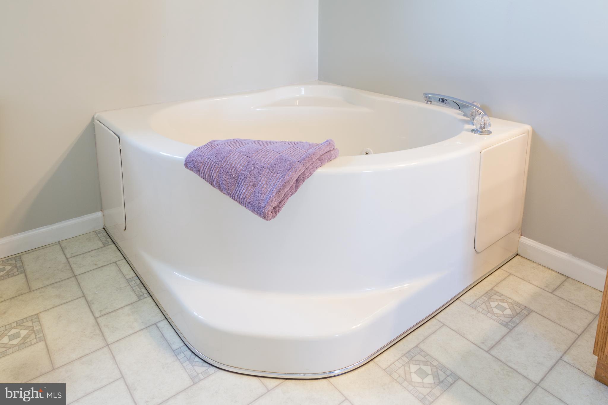 2272 Old Washington Road Westminster, MD 21157 - Photo 23 of 48 Master Soaking Tub