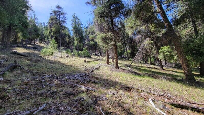 1315 Lofton Creek Road Prineville, OR 97754 - Photo 7 of 61 image000000 (12)
