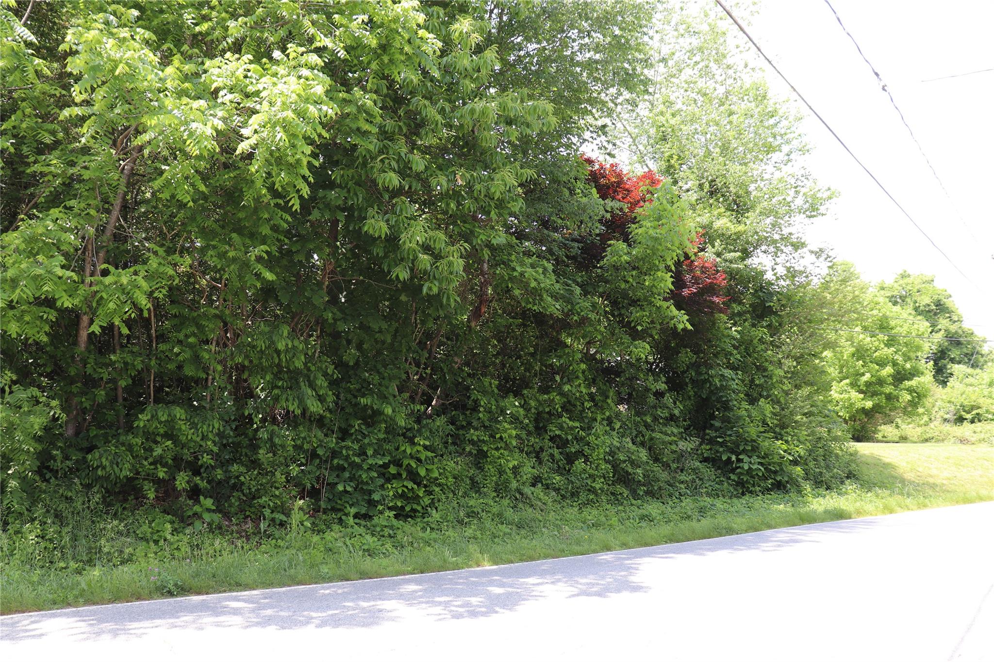 Tbd Calico Road Lenoir, NC 28645 - Photo 2 of 4 Gallery Image 2
