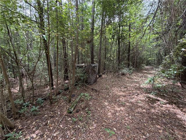 0 Thigpen Road Franklinton, LA 70438 - Photo 24 of 34