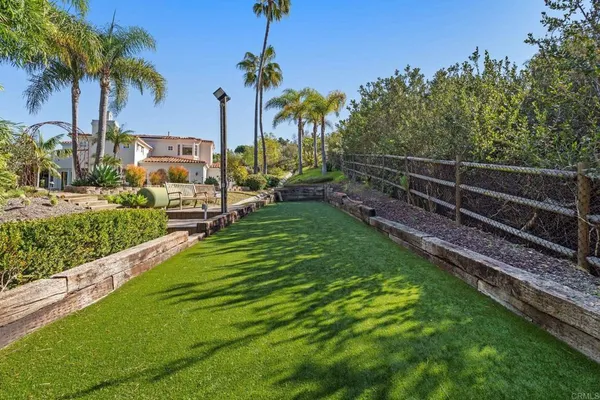 a view of a backyard with palm trees