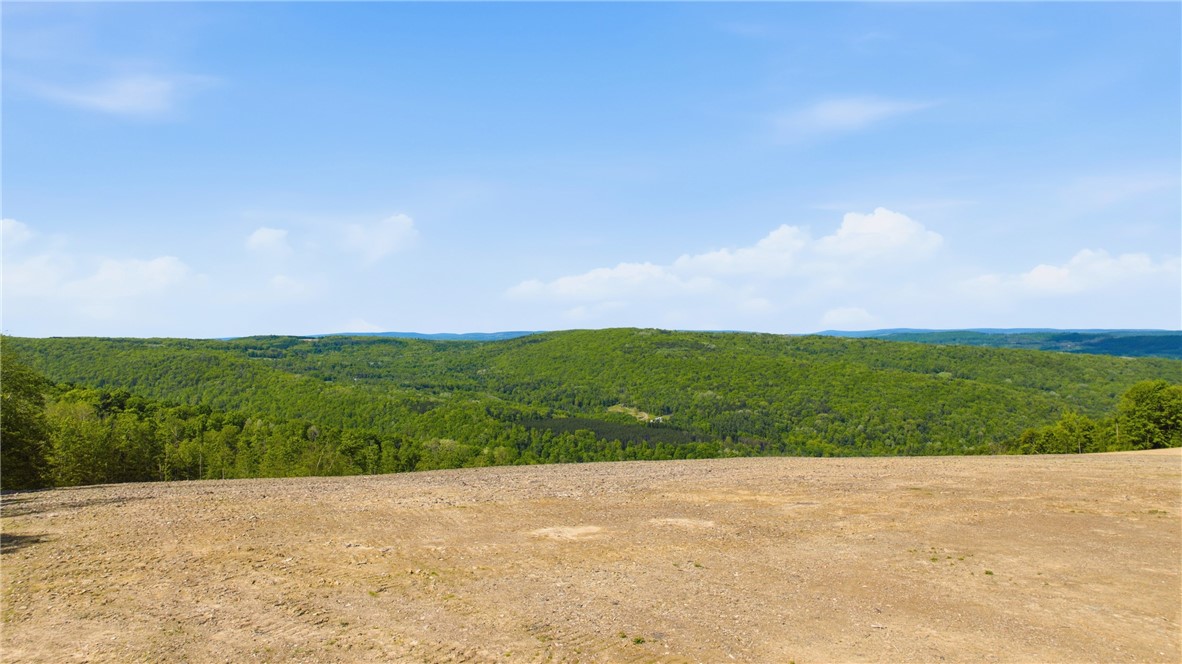 183 Dunn Road Catlin, NY 14845 - Photo 40 of 50