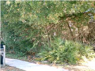 Lot 5-blkd Lot 5-blkd Holiday Road Destin, FL 32550 - Photo 1 of 1 a view of a yard with a tree