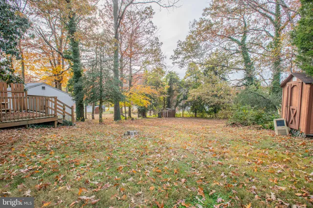 a view of a yard with plants and trees