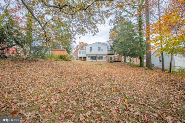 a view of a large tree in front of a house