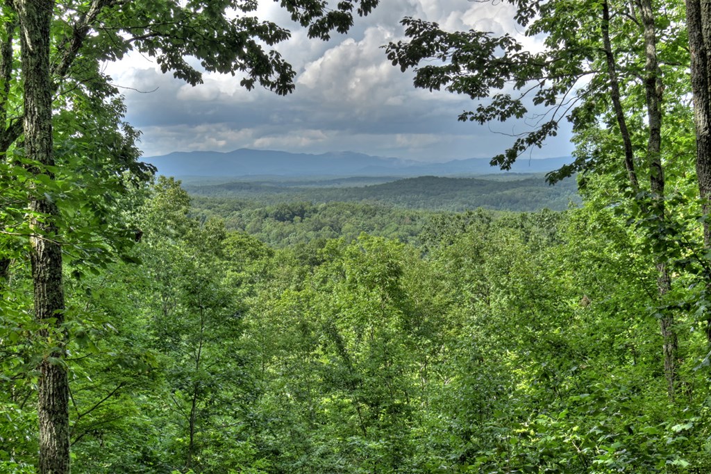 548 Mountain Highlands Court Blue Ridge, GA 30513 - Photo 19 of 33
