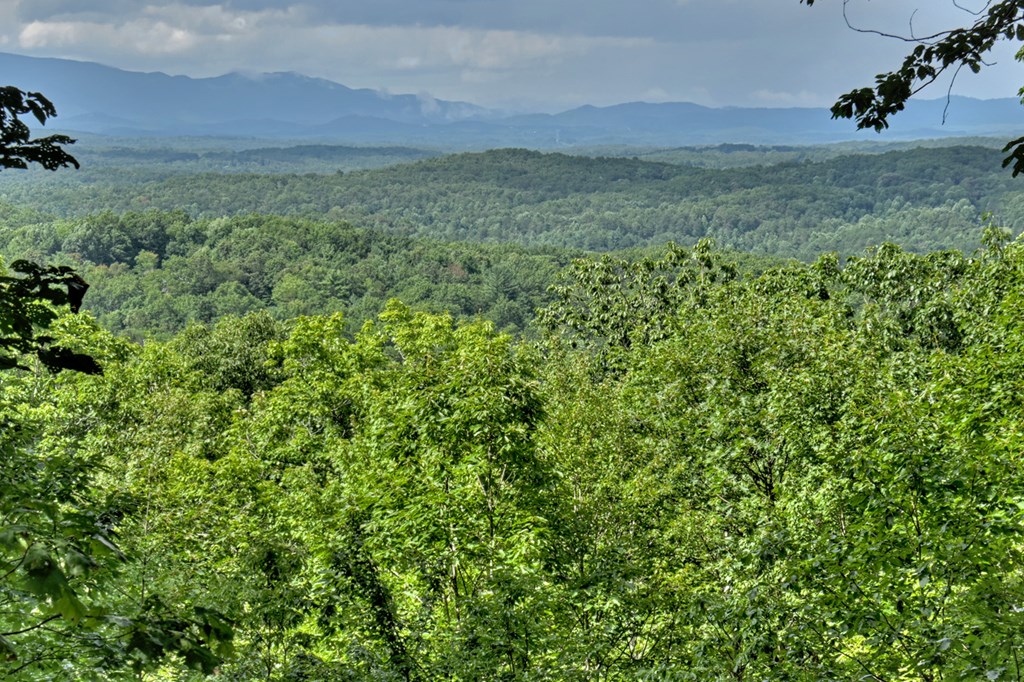 548 Mountain Highlands Court Blue Ridge, GA 30513 - Photo 21 of 33 a view of a lush green hillside and a houses