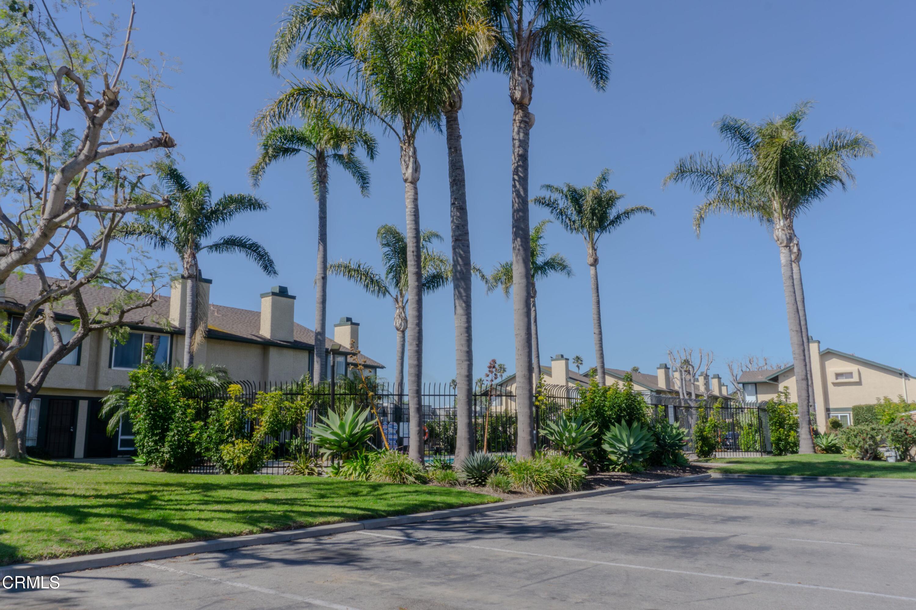 5313 Perkins Road Oxnard, CA 93033 - Photo 2 of 40 a view of a palm trees front of a house