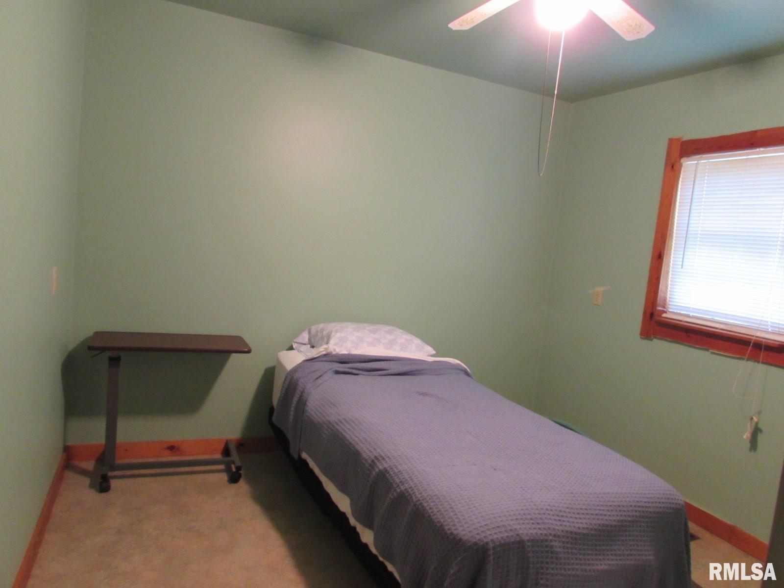 77 Hines Road Murphysboro, IL 62966 - Photo 8 of 12