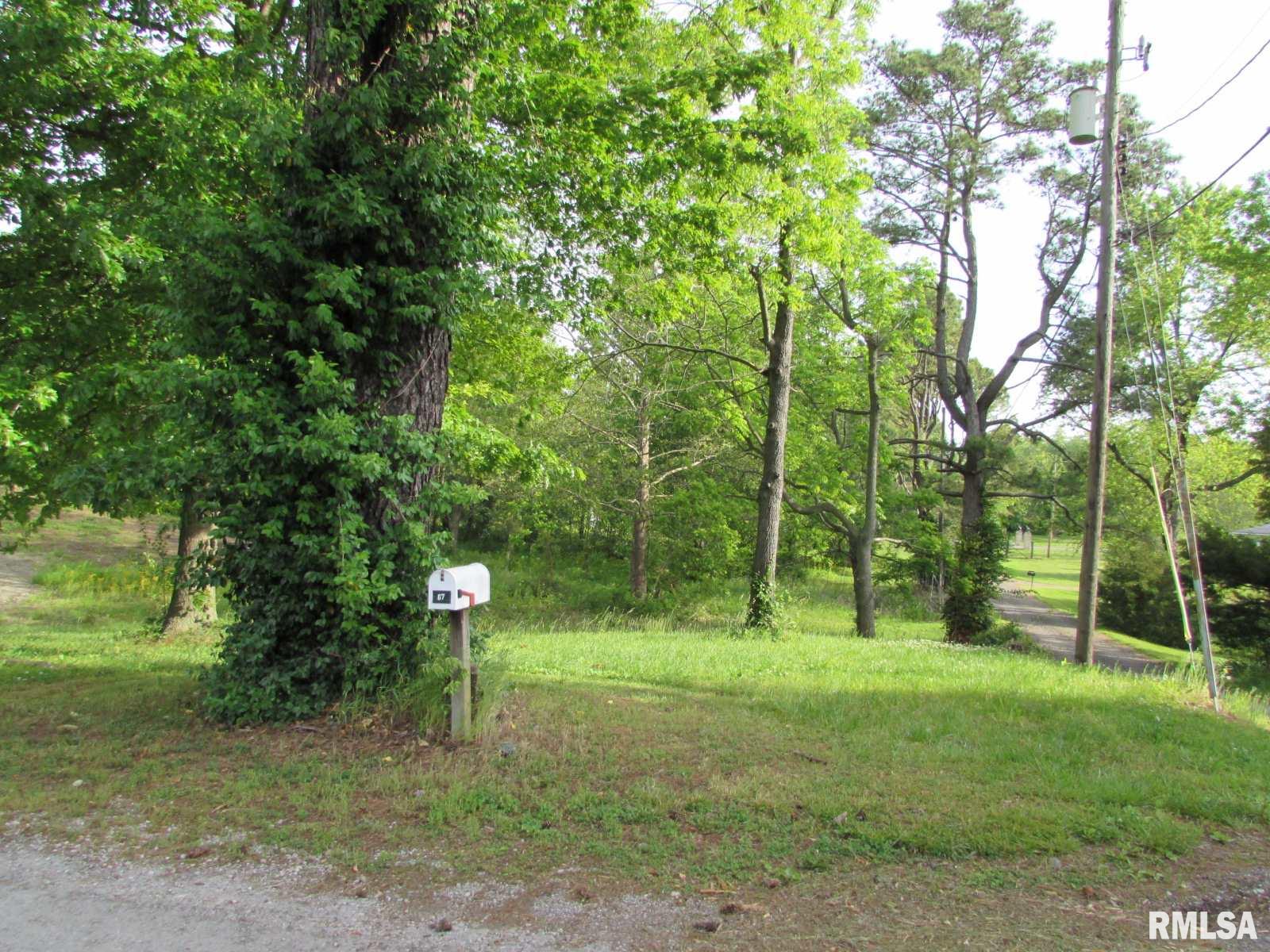77 Hines Road Murphysboro, IL 62966 - Photo 10 of 12