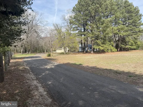 a view of dirt yard with a large tree