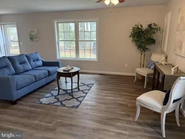 a living room with furniture and a potted plant