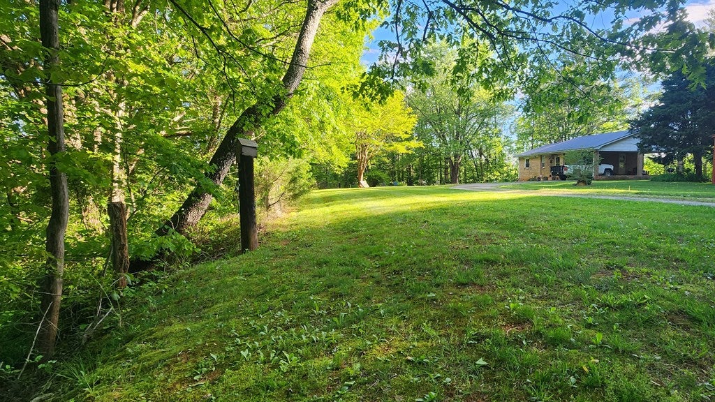 265 River Road Ararat, VA 24053 - Photo 10 of 30 Gallery Image 10