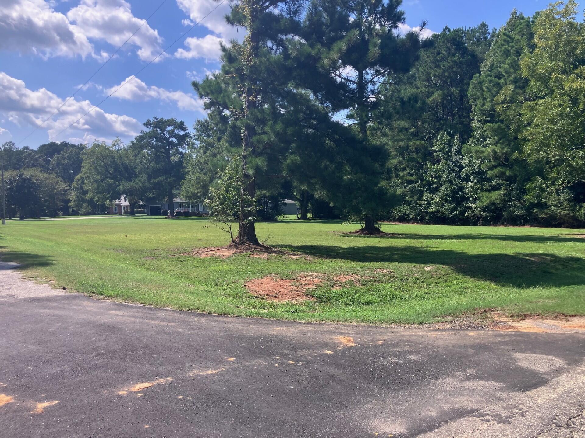 0 Tom Charles Road Summerton, SC 29148 - Photo 2 of 4 tom charles road 3