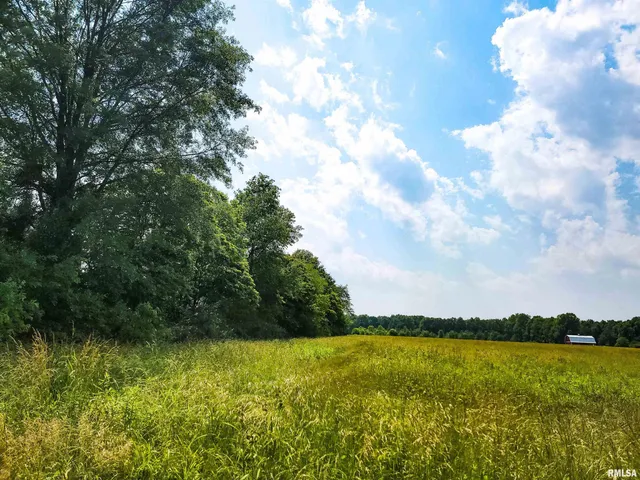 $78,000 | 199 Hanging Rock Road, Flora, IL 62839