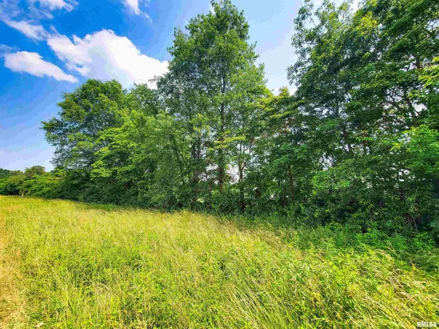 $78,000 | 199 Hanging Rock Road, Flora, IL 62839