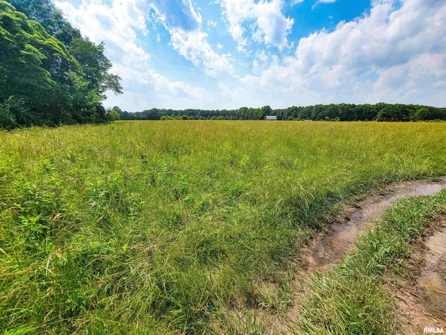 $78,000 | 199 Hanging Rock Road, Flora, IL 62839