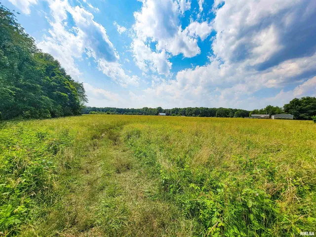 $78,000 | 199 Hanging Rock Road, Flora, IL 62839