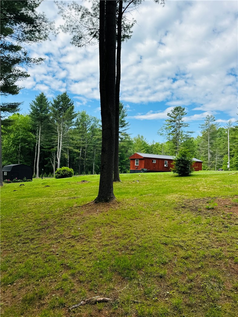 385 Lyon Road Bainbridge, NY 13733 - Photo 9 of 25