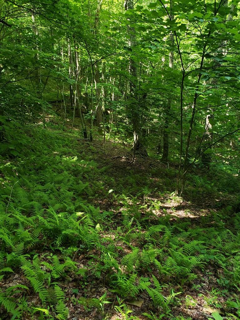 Tbd Flat Ridge Road, Unit 16A7 Troutdale, VA 24378 - Photo 29 of 33 Gallery Image 29