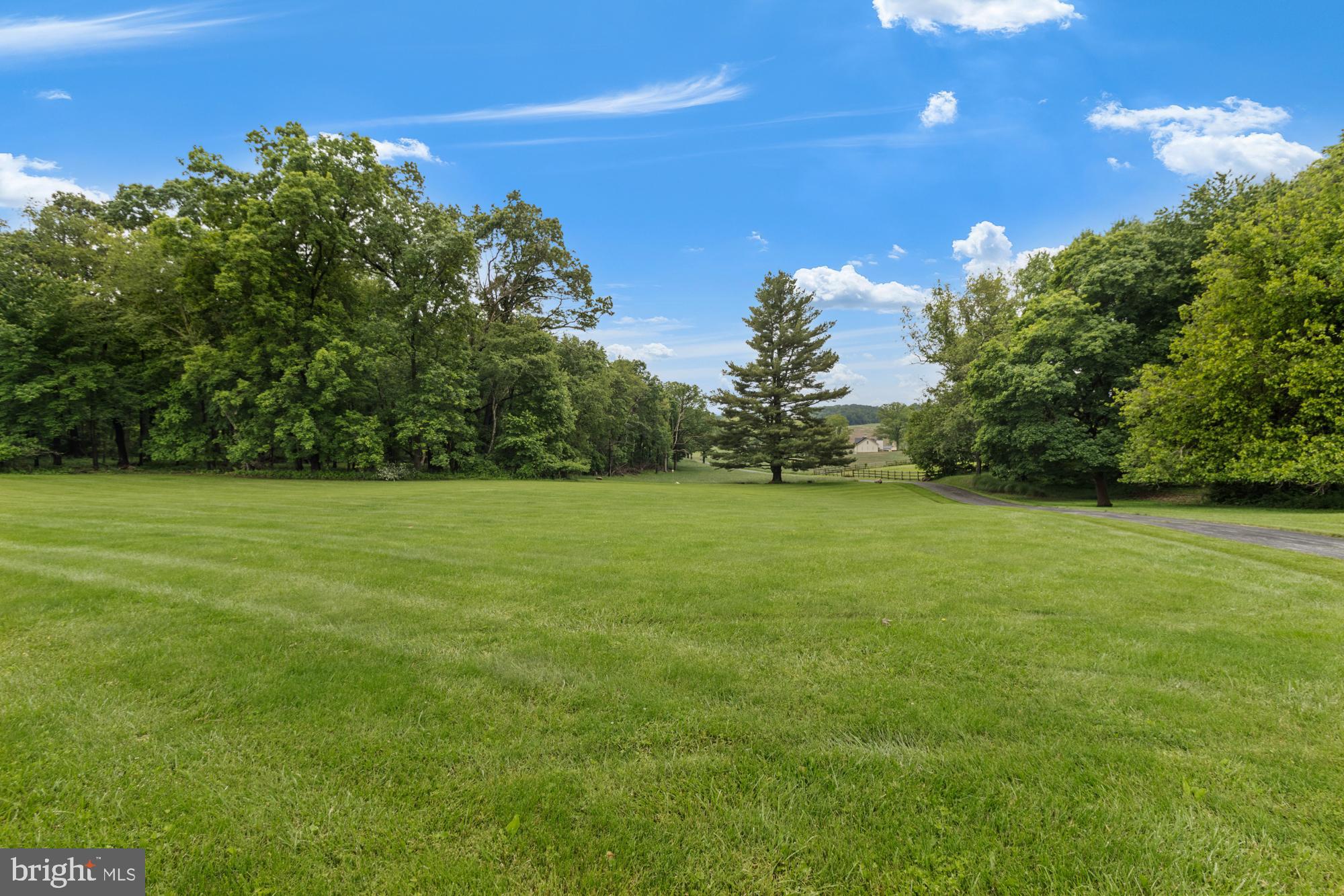 4116 Mt Carmel Road Upperco, MD 21155 - Photo 50 of 60 View of front yard from house