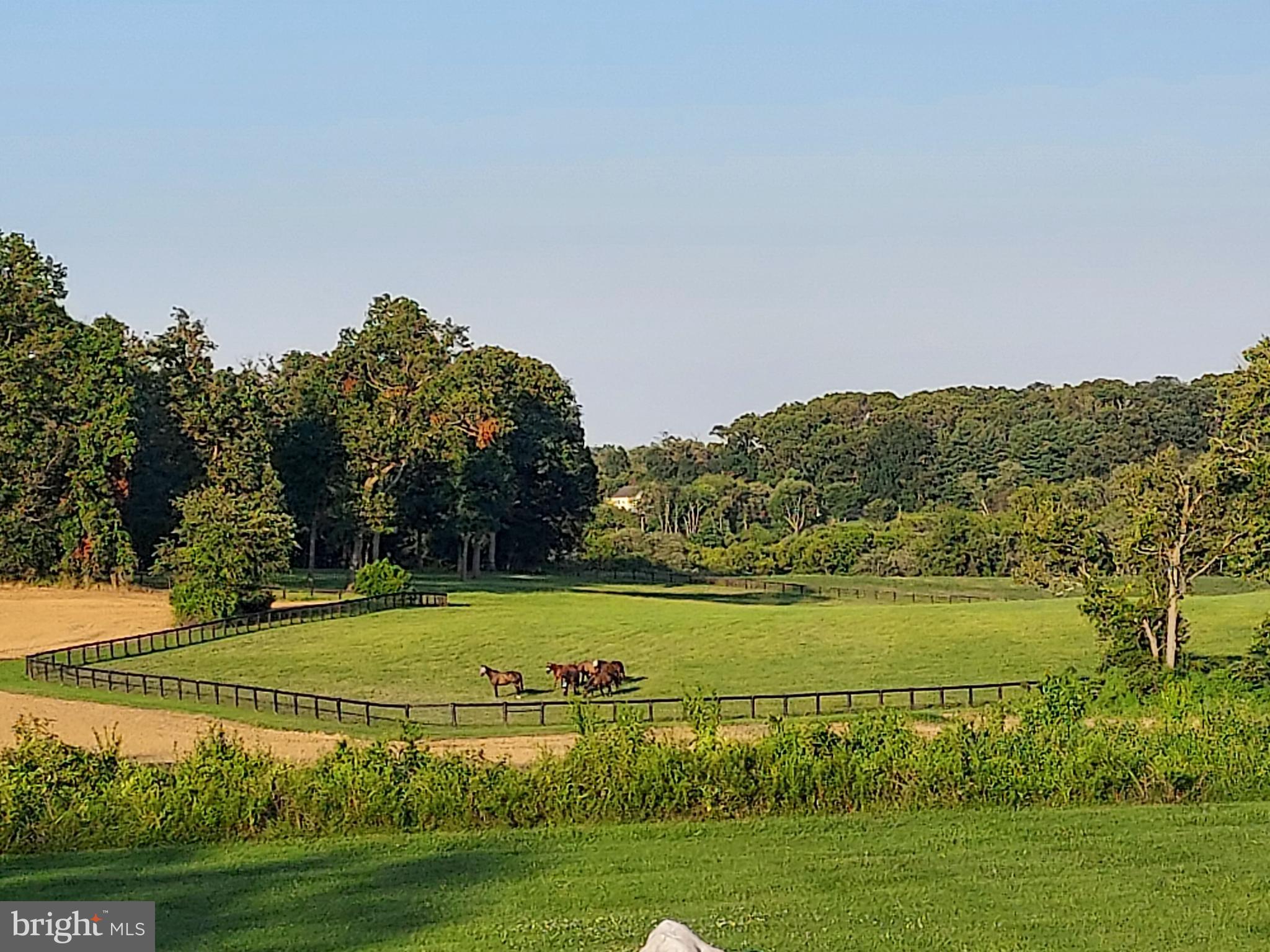 4116 Mt Carmel Road Upperco, MD 21155 - Photo 60 of 60 Picturesque pastoral views
