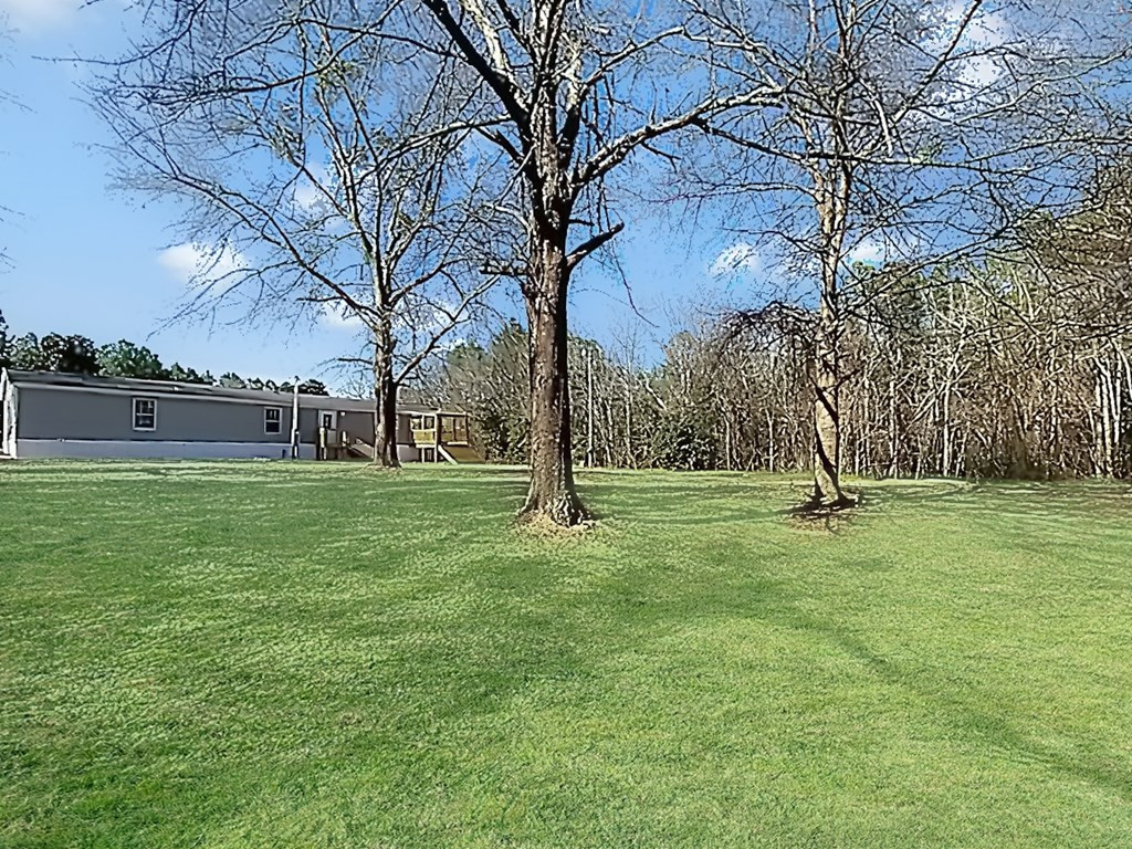 944 Airport Road Johnston, SC 29832 - Photo 3 of 29